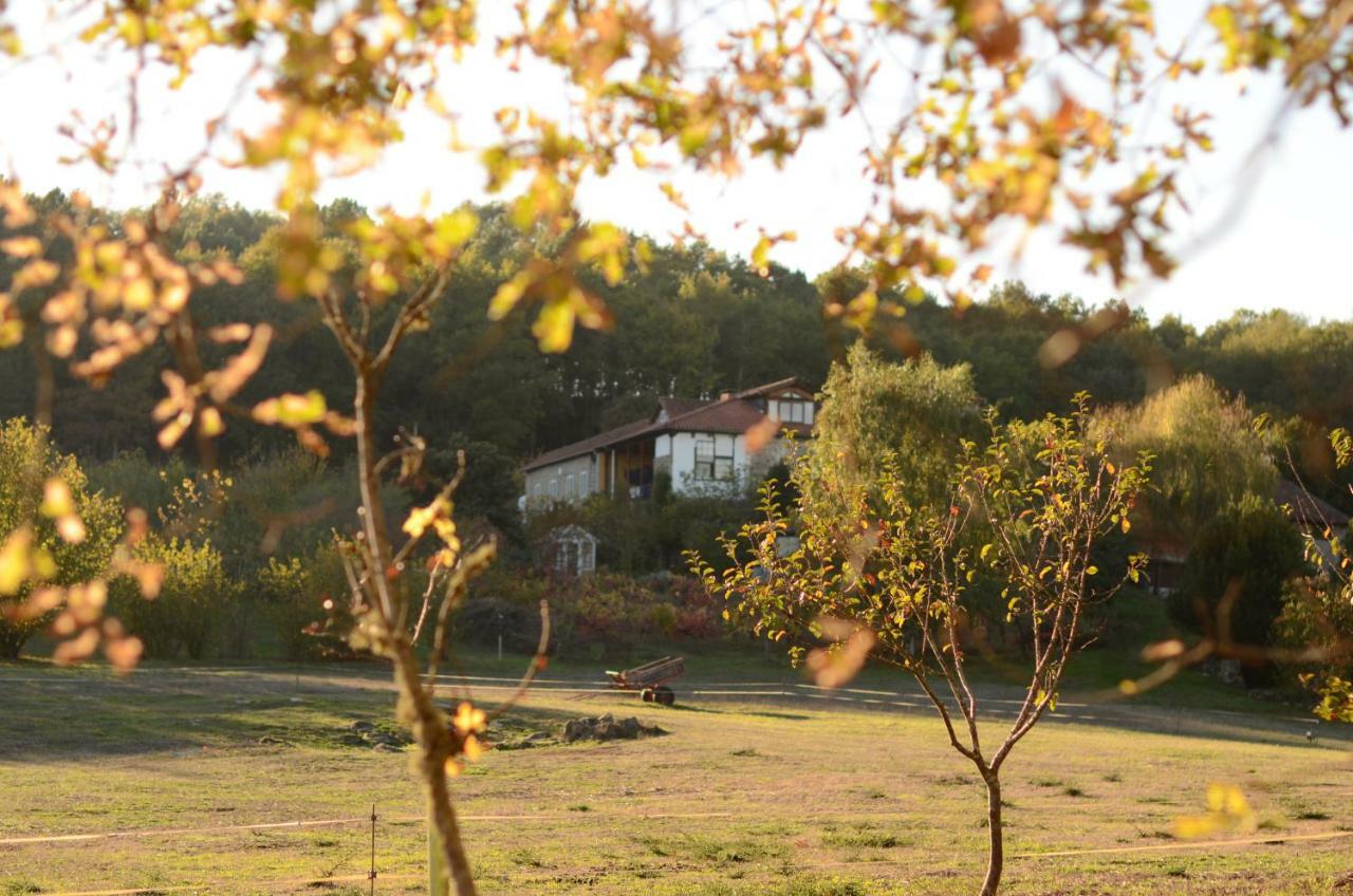 Torre Tanquian Eco Finca - Ribeira Sacra Pantón Kültér fotó